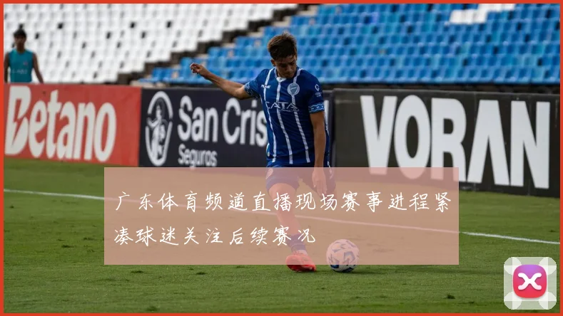 广东体育频道直播现场赛事进程紧凑球迷关注后续赛况